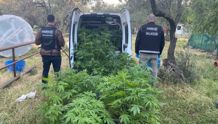 Ayvalık’ta polisten uyuşturucu operasyonu