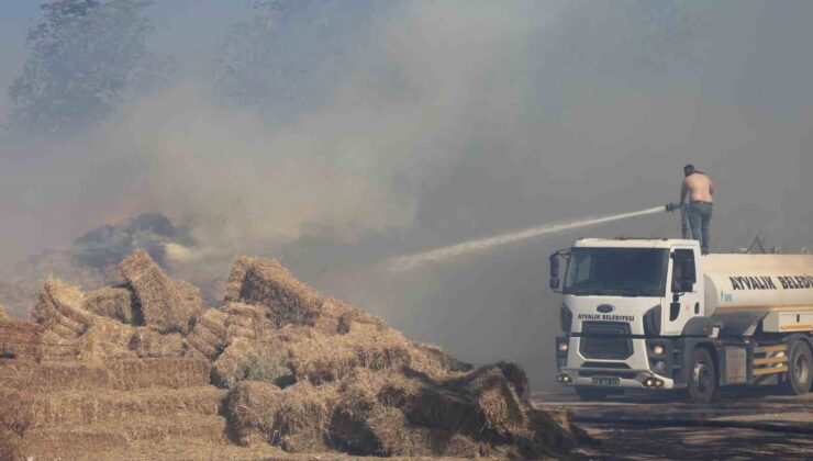 Ayvalık’ta çöp döküm alanında çıkan yangın otluk ve zeytinlik alana sıçradı