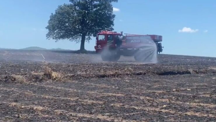 Balıkesir’de tarla yangını: 35 ton buğday kül oldu