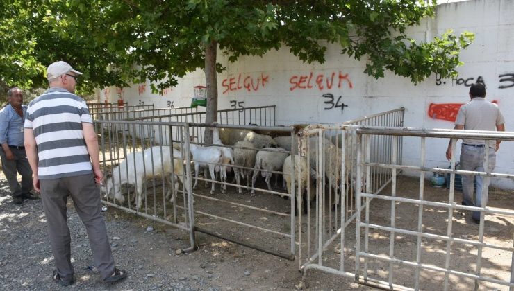 Edremit Kurban Bayramı’na hazır