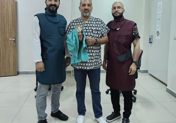 Yaralı peçeli baykuş tedavisi yapılarak doğaya bırakıldı