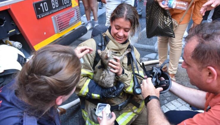 İtfaiyeci Seray, kedinin hayatını kurtardı